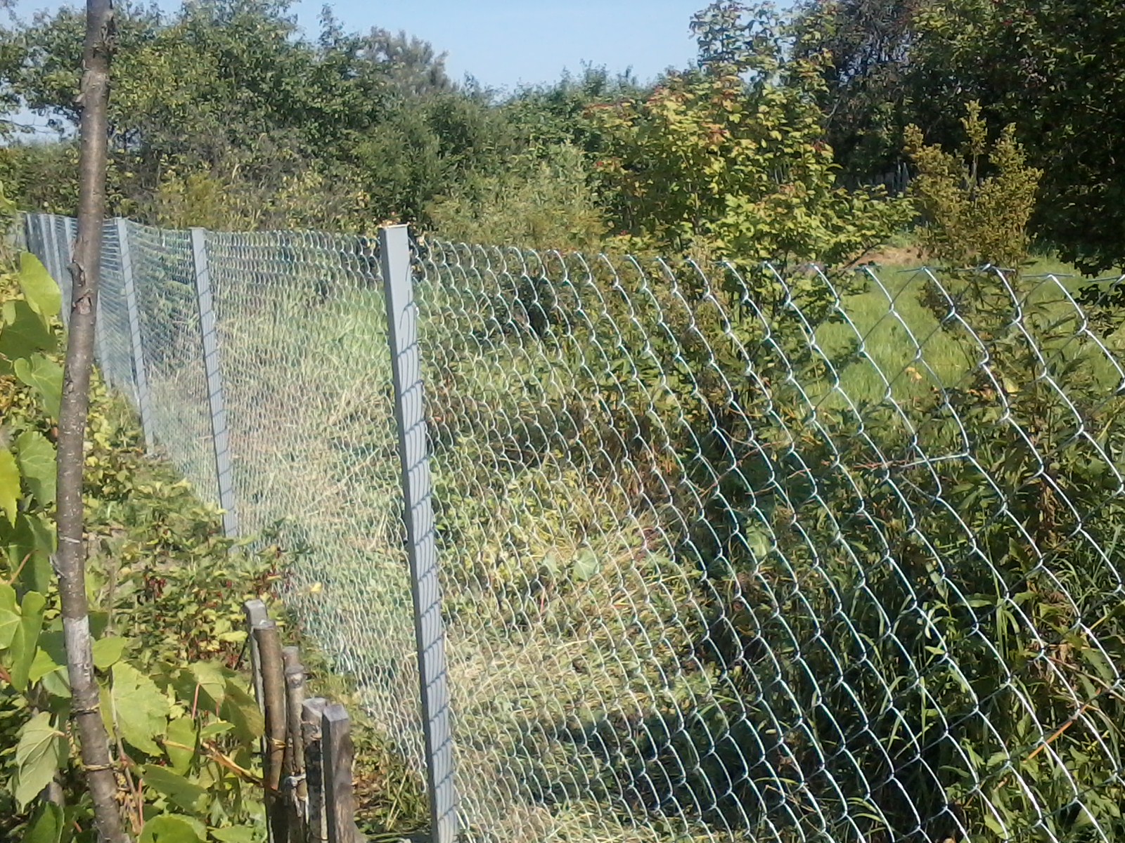 Забор из сетки рабицы, цена с установкой за метр во Владимире